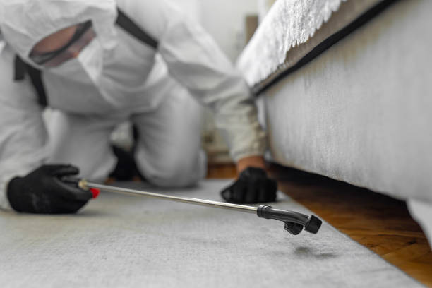 Professional Termite Control technician working in Slater-Marietta, SC