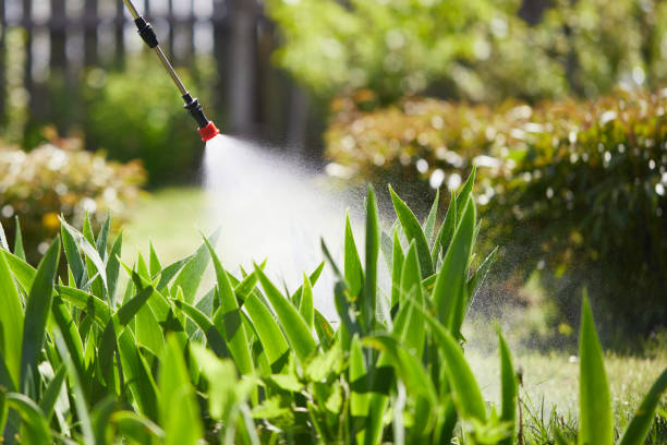 24/7 Emergency Termite Control experts in Slater-Marietta, SC